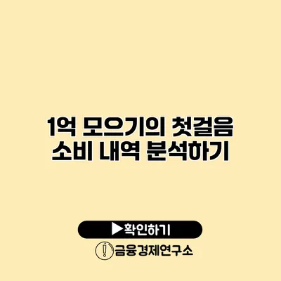 1억 모으기의 첫걸음 소비 내역 분석하기