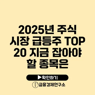 2025년 주식 시장 급등주 TOP 20 지금 잡아야 할 종목은?