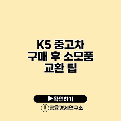 K5 중고차 구매 후 소모품 교환 팁