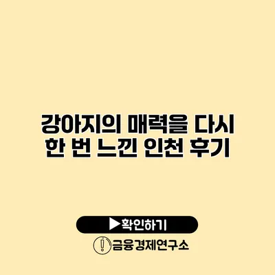 강아지의 매력을 다시 한 번 느낀 인천 후기