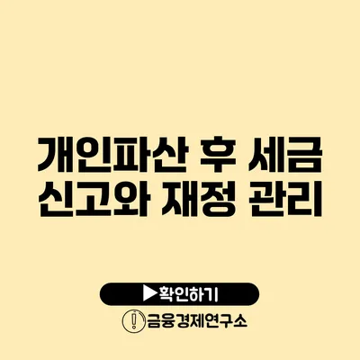 개인파산 후 세금 신고와 재정 관리