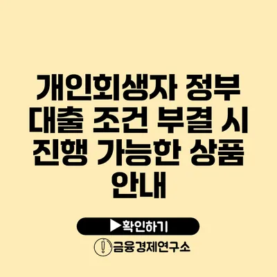 개인회생자 정부 대출 조건 부결 시 진행 가능한 상품 안내