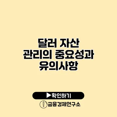 달러 자산 관리의 중요성과 유의사항