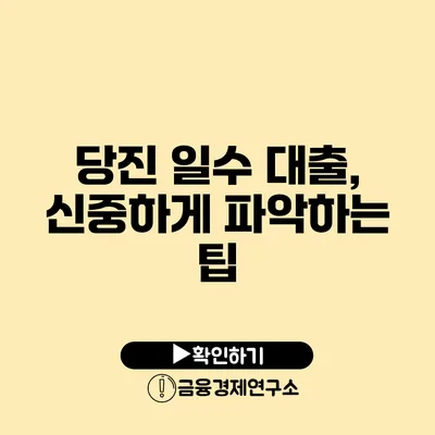 당진 일수 대출, 신중하게 파악하는 팁