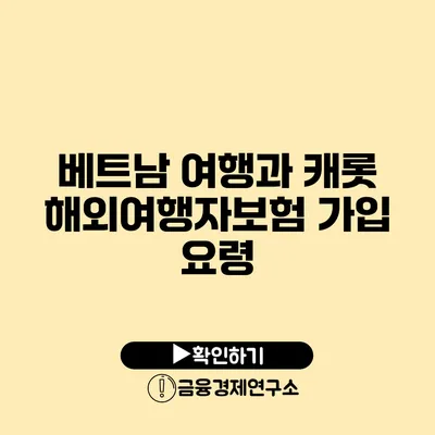 베트남 여행과 캐롯 해외여행자보험 가입 요령