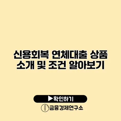 신용회복 연체대출 상품 소개 및 조건 알아보기