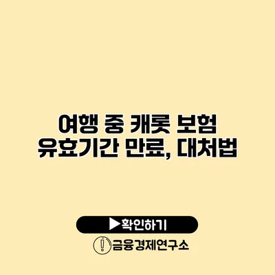 여행 중 캐롯 보험 유효기간 만료, 대처법