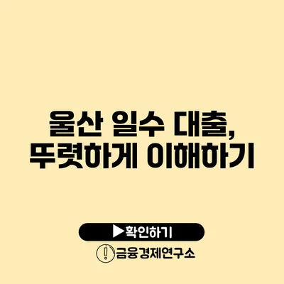 울산 일수 대출, 뚜렷하게 이해하기