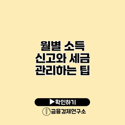 월별 소득 신고와 세금 관리하는 팁