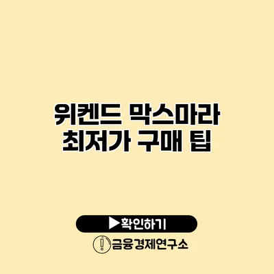 위켄드 막스마라 최저가 구매 팁