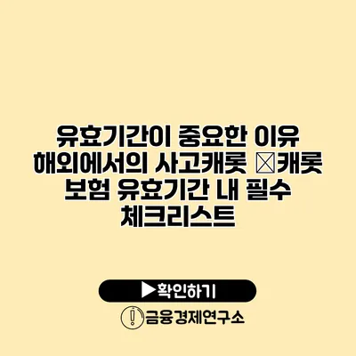 유효기간이 중요한 이유 해외에서의 사고캐롯 �캐롯 보험 유효기간 내 필수 체크리스트