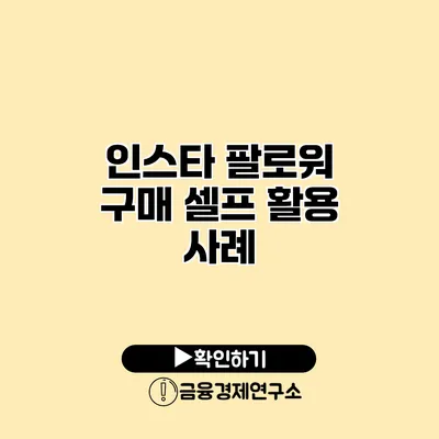 인스타 팔로워 구매 셀프 활용 사례