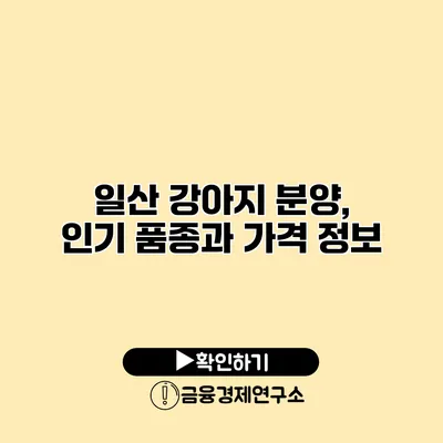 일산 강아지 분양, 인기 품종과 가격 정보