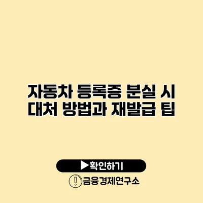 자동차 등록증 분실 시 대처 방법과 재발급 팁