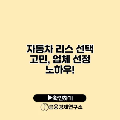 자동차 리스 선택 고민, 업체 선정 노하우!