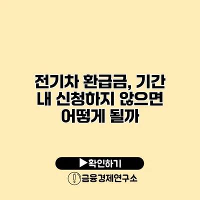 전기차 환급금, 기간 내 신청하지 않으면 어떻게 될까?
