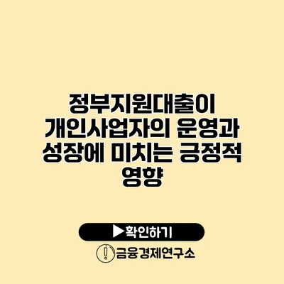 정부지원대출이 개인사업자의 운영과 성장에 미치는 긍정적 영향