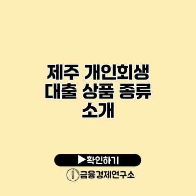 제주 개인회생 대출 상품 종류 소개