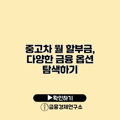 중고차 월 할부금, 다양한 금융 옵션 탐색하기