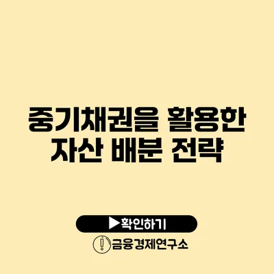 중기채권을 활용한 자산 배분 전략