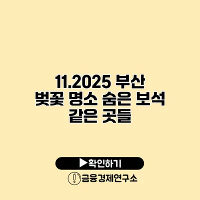 11.2025 부산 벚꽃 명소 숨은 보석 같은 곳들