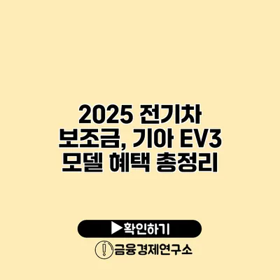 2025 전기차 보조금, 기아 EV3 모델 혜택 총정리