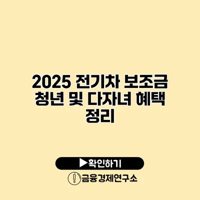 2025 전기차 보조금 청년 및 다자녀 혜택 정리