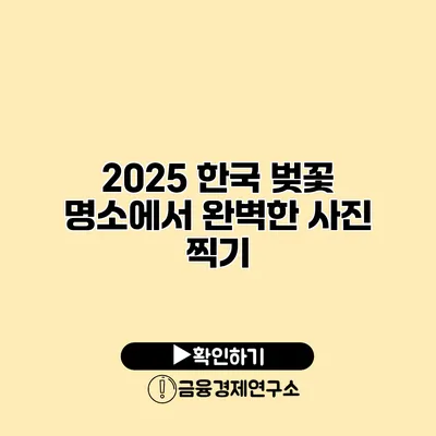 2025 한국 벚꽃 명소에서 완벽한 사진 찍기