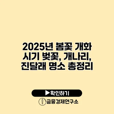 2025년 봄꽃 개화 시기 벚꽃, 개나리, 진달래 명소 총정리