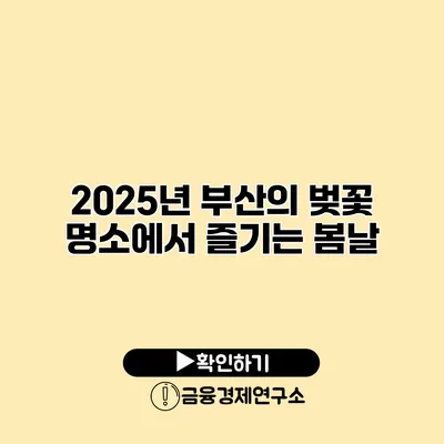 2025년 부산의 벚꽃 명소에서 즐기는 봄날