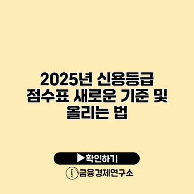 2025년 신용등급 점수표 새로운 기준 및 올리는 법