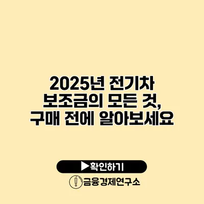 2025년 전기차 보조금의 모든 것, 구매 전에 알아보세요