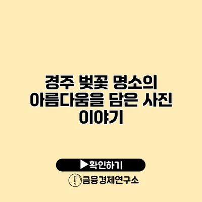 경주 벚꽃 명소의 아름다움을 담은 사진 이야기