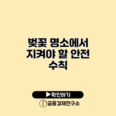 벚꽃 명소에서 지켜야 할 안전 수칙