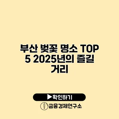 부산 벚꽃 명소 TOP 5 2025년의 즐길 거리