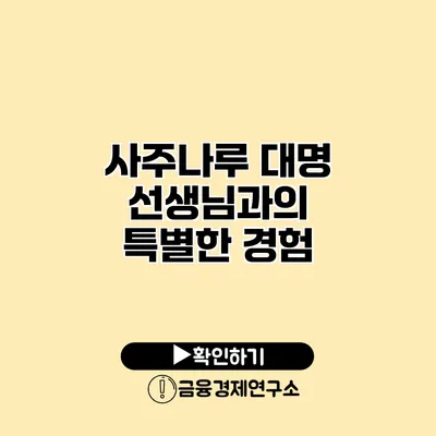 사주나루 대명 선생님과의 특별한 경험