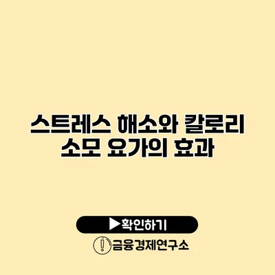 스트레스 해소와 칼로리 소모 요가의 효과