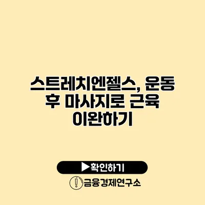 스트레치엔젤스, 운동 후 마사지로 근육 이완하기