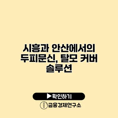 시흥과 안산에서의 두피문신, 탈모 커버 솔루션