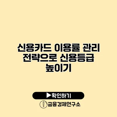 신용카드 이용률 관리 전략으로 신용등급 높이기