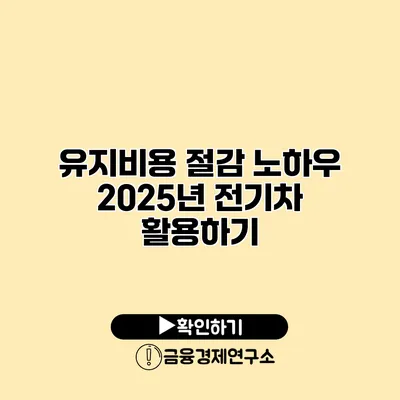 유지비용 절감 노하우 2025년 전기차 활용하기