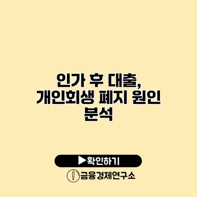 인가 후 대출, 개인회생 폐지 원인 분석