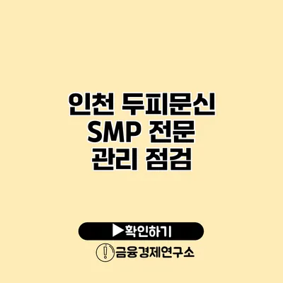 인천 두피문신 SMP 전문 관리 점검