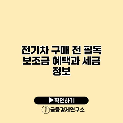 전기차 구매 전 필독 보조금 혜택과 세금 정보