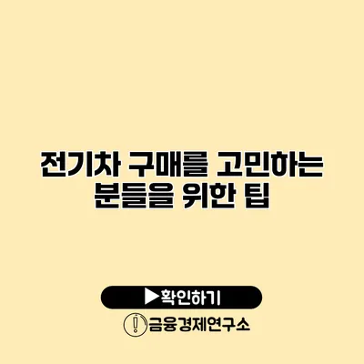 전기차 구매를 고민하는 분들을 위한 팁