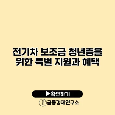 전기차 보조금 청년층을 위한 특별 지원과 혜택