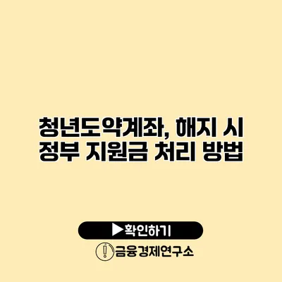 청년도약계좌, 해지 시 정부 지원금 처리 방법