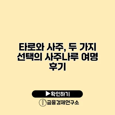 타로와 사주, 두 가지 선택의 사주나루 여명 후기