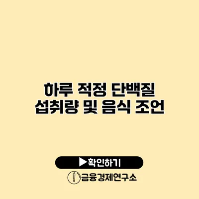 하루 적정 단백질 섭취량 및 음식 조언