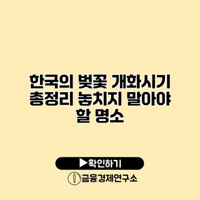 한국의 벚꽃 개화시기 총정리 놓치지 말아야 할 명소